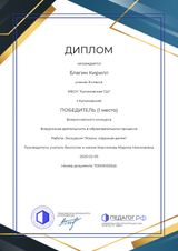Благин Кирилл, 8 класс